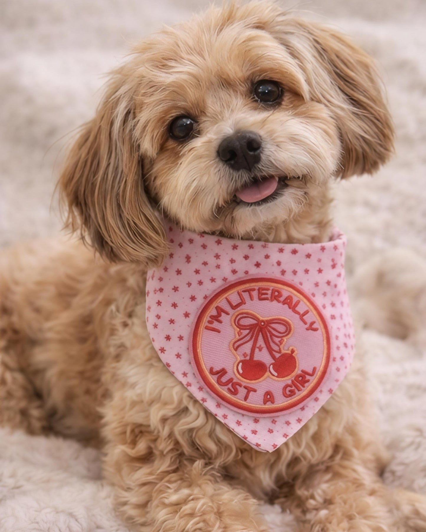Literally, Just A Girl Stars Scrunhie Dog Bandana